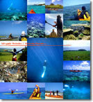 石垣シーカヤックシュノーケリングツアー