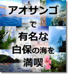 �Ί_�����ۃV���m�[�P�����O�J���b�N�c�A�[�ڍ�