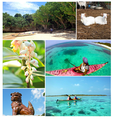 ���l���ŃV�[�J���b�N�ƃV���m�[�P�����O�c�A�[�����̌�