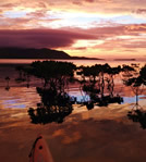 ���\���̃T���Z�b�g�J���b�N�c�A�[