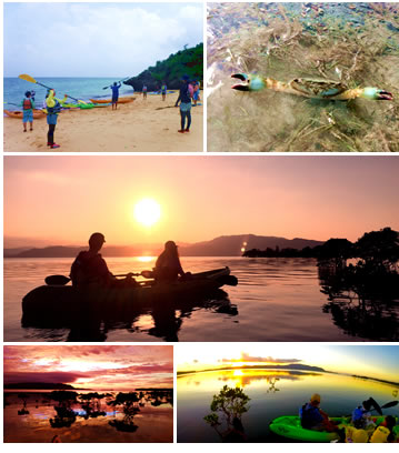 ���l���̃T���Z�b�g�J���b�N�c�A�[�ʐ^